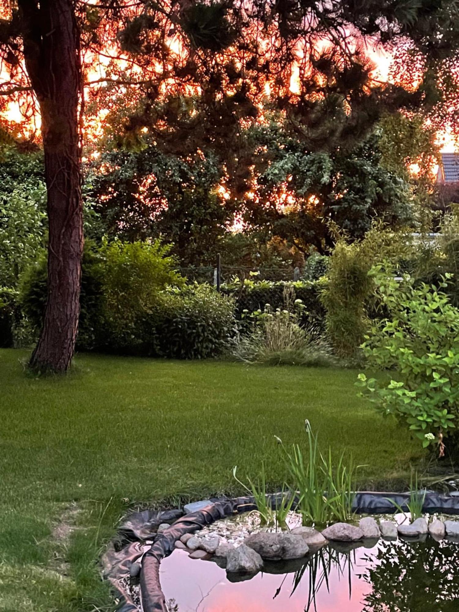 Lot Lodge Travemünde Lübeck Eksteriør bilde