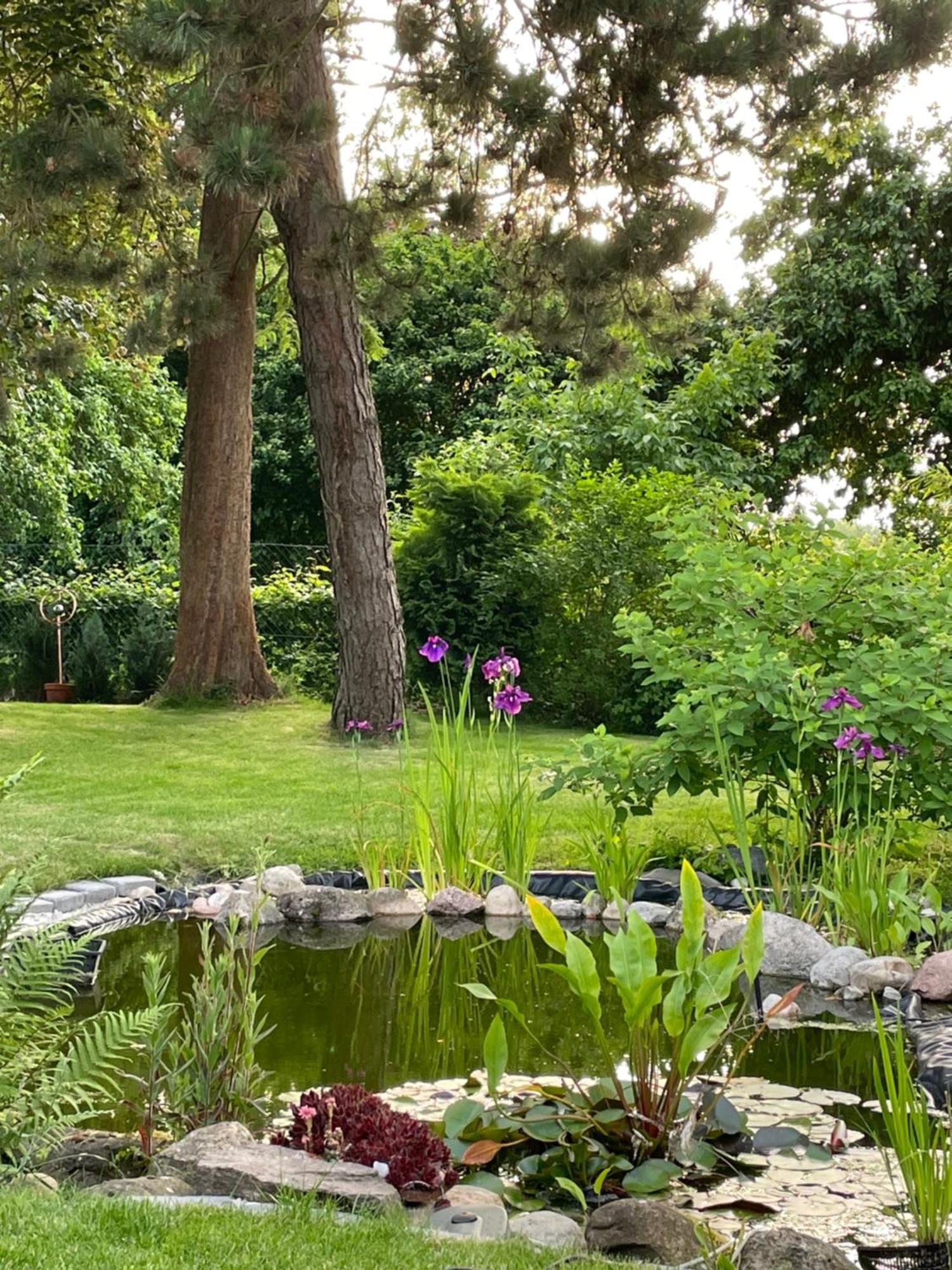 Lot Lodge Travemünde Lübeck Eksteriør bilde